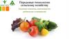 Компания ООО «Гринтех». Передовые технологии сельскому хозяйству. Тепличные комплексы, животноводство и птицеводство