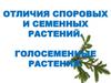 Отличия споровых и семенных растений. Голосеменные растения