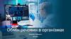 Обмін речовин в організмах. Біологія і екологія. 10 клас