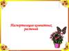Паспортизация комнатных растений