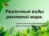 Различные виды растений мира