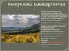 Республика Башкортостан