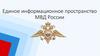 Единое информационное пространство МВД России