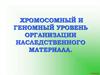 Хромосомный и геномный уровень организации наследственного материала