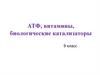 АТФ, витамины, биологические катализаторы  (9 класс)