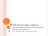 The endangered animals