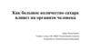 Как большое количество сахара влияет на организм человека?