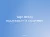 Тире между подлежащим и сказуемым