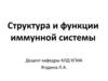 Структура и функции иммунной системы