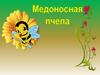 Медоносная пчела