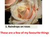 Raindrops on roses