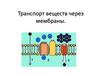 Транспорт веществ через мембраны