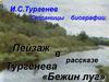 И.С. Тургенев. Пейзаж в рассказе Тургенева «Бежин луг»