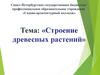 Строение древесных растений. Тема 1.3