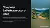 Природа Забайкальского края