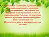 Проводящие ткани корня. Транспорт воды и минеральных веществ в растении (сосуды древесины) - восходящий ток
