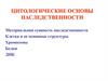 Цитологические основы наследственности