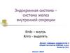 Эндокринная система – система желез внутренней секреции