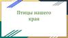 Птицы нашего края