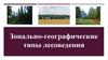 Зонально - географические типы лесоведения