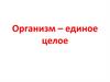 Организм – единое целое