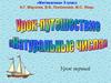 Урок-путешествие "Натуральные числа". 5 класс