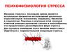 Психофизиология стресса