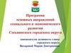 Программа основных направлений социального и экономического развития Сосьвинского городского округа
