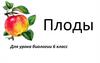 Плоды (6 класс)