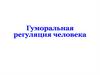 Гуморальная регуляция человека