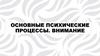 Основные психические процессы. Внимание