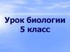 Жизнь организмов в морях и океанах