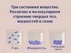 Три состояния вещества. Различие в молекулярном строении твердых тел, жидкостей и газов