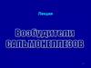 Патогенные сальмонеллы. Лекция