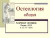 Остеология общая. Анатомия человека