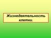 Жизнедеятельность клетки   (6 класс)