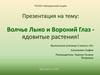 Волчье Лыко и Вороний Глаз ядовитые растения!