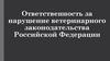 Ответственность за нарушение ветеринарного законодательства Российской Федерации