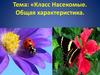 Класс Насекомые. Общая характеристика