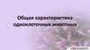 Общая характеристика одноклеточных животных