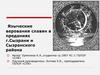 Языческие верования славян в преданиях г. Сызрани и Сызранского района