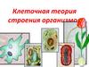 Клеточная теория строения организмов. Клетка - основа строения