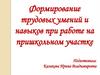Формирование трудовых умений и навыков при работе на пришкольном участке