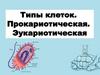Типы клеток. Прокариотическая. Эукариотическая