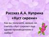 Рассказ А.А. Куприна «Куст сирени»
