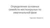 Определение основных семейств жесткокрылых по имагинальной фазе