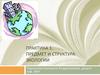 Предмет и структура экологии