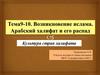 Культура стран халифата