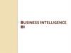 Business Intelligence BI