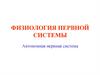Автономная нервная система  (лекция № 3)